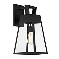 Cooper 1-Light Wall Lantern in Matte Black