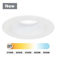 LED Downlight