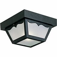 Ceiling Mount - Polycarbonate 1-Light Outdoor Flush Mount in Black