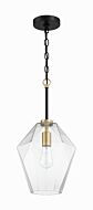 Avante Grand 1-Light Pendant in Flat Black with Satin Brass