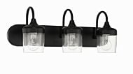 Wrenn 3-Light Bathroom Vanity Light in Flat Black