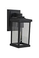 Resilience Lanterns 1-Light Outdoor Lantern in Textured Black