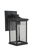 Resilience Lanterns 1-Light Outdoor Lantern in Textured Black