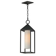 Aldous 1-Light Outdoor Pendant in Black