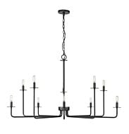 Ten Light Chandelier by Millennium