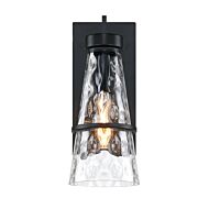 Field Daisy Lane 1-Light Outdoor Wall Sconce in Black