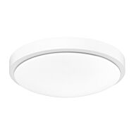 LED Flush Mount by Golden