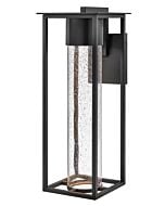 Hinkley Coen 1-Light Outdoor Light In Black