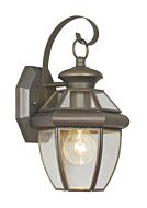 Monterey 1-Light Outdoor Wall Lantern in Bronze