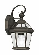 Georgetown 1-Light Outdoor Wall Lantern in Bronze