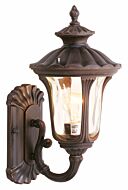 Oxford 1-Light Outdoor Wall Lantern in Hand Applied Imperial Bronze