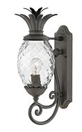 Hinkley Plantation 1-Light Outdoor Light In Museum Black