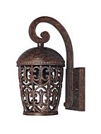 Amherst 1-Light Wall Lantern in Burnt Umber