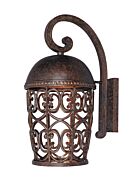 Amherst 1-Light Wall Lantern in Burnt Umber