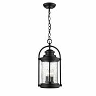 Millennium Lighting 3 Light Outdoor Hanging Lantern in Powder Coat Black