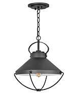 Hinkley Crew 1-Light Outdoor Light In Black