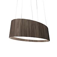 Oval LED Pendant in American Walnut