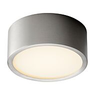 Peepers 1-Light LED Ceiling Mount in Satin Nickel