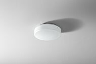 Rhythm 1-Light LED Ceiling Mount in White