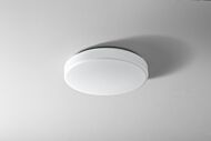 Rhythm 2-Light LED Ceiling Mount in White