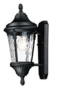 Sentry 1-Light Outdoor Wall Lantern in Black