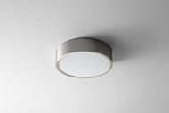 Peepers 1-Light LED Ceiling Mount in Satin Nickel