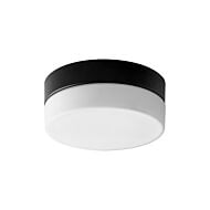 Zuri 1-Light LED Ceiling Mount in Black