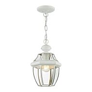 Monterey 1-Light Outdoor Pendant in White