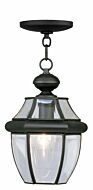 Monterey 1-Light Outdoor Pendant in Black