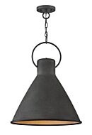 Hinkley Winnie 1-Light Pendant In Aged Zinc