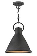 Hinkley Winnie 1-Light Pendant In Aged Zinc