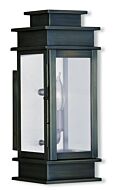 Princeton 1-Light Outdoor Wall Lantern in Vintage Pewter w with Polished Chrome Stainless Steel