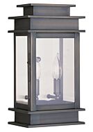 Princeton 2-Light Outdoor Wall Lantern in Vintage Pewter w with Polished Chrome Stainless Steel