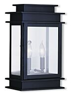 Princeton 2-Light Outdoor Wall Lantern in Bronze w with Polished Chrome Stainless Steel