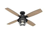 Hunter Port Royale 52 Inch Indoor/Outdoor Ceiling Fan in Natural Iron