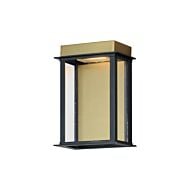 Rincon 1-Light LED Outdoor Wall Sconce in Black with Gold