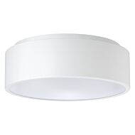 Access Radiant Ceiling Light in White