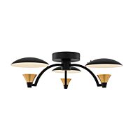 Redding LED Semi-Flush Mount Ceiling Light in Matte Black with White 