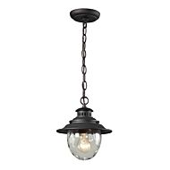 Searsport 1-Light Outdoor Pendant in Weathered Charcoal