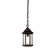 One Light Hanging Lantern by Acclaim Lighting