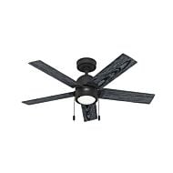 Erling 1-Light 44" Ceiling Fan in Matte Black