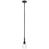 Aivian 1-Light Mini Pendant in Black