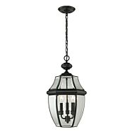 Ashford 3-Light Outdoor Pendant in Black