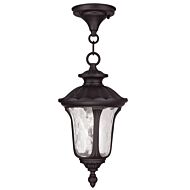 Oxford 1-Light Outdoor Pendant in Bronze