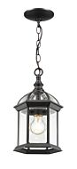 Z-Lite Annex 1-Light Outdoor Chain Mount Ceiling Fixture Light In Black