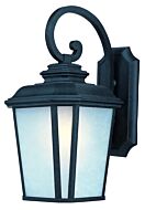 Radcliffe 1-Light Outdoor Wall Lantern in Black Oxide