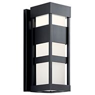 Ryler 1-Light LED Outdoor Wall Mount in Black