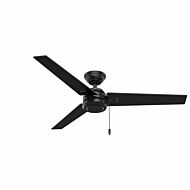 Hunter Cassius 52 Inch Indoor/Outdoor Ceiling Fan in Matte Black