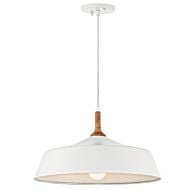 One Light Pendant by Kichler