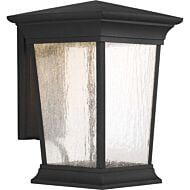 Arrive LED 1-Light LED Wall Lantern in Black